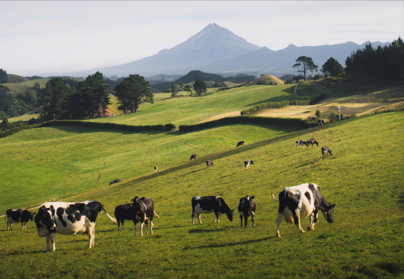 Corretagem rural